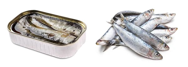 Whole raw sardines for clearance dogs